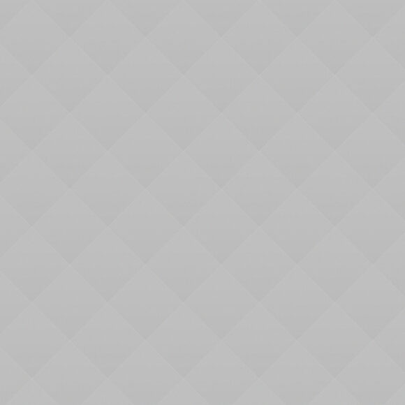 The Dutch painter Vermeer