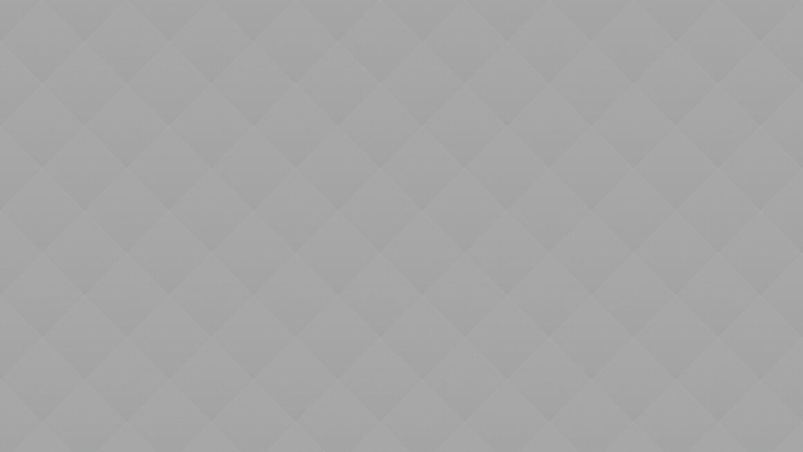 06 The Dutch painter Vermeer